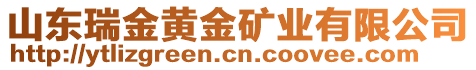 山東瑞金黃金礦業(yè)有限公司