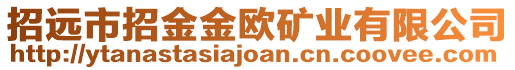 招遠市招金金歐礦業(yè)有限公司