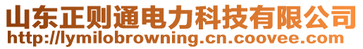 山東正則通電力科技有限公司