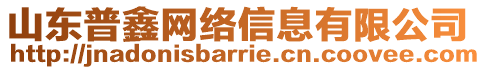 山東普鑫網絡信息有限公司