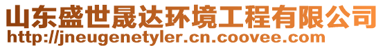 山東盛世晟達(dá)環(huán)境工程有限公司