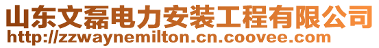 山東文磊電力安裝工程有限公司