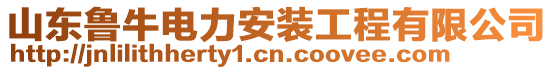 山東魯牛電力安裝工程有限公司