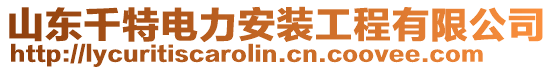 山東千特電力安裝工程有限公司