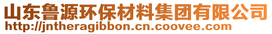 山東魯源環(huán)保材料集團(tuán)有限公司