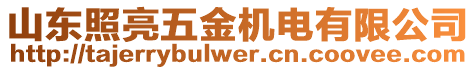 山東照亮五金機(jī)電有限公司