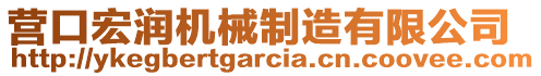 營口宏潤機(jī)械制造有限公司