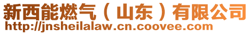 新西能燃?xì)猓ㄉ綎|）有限公司