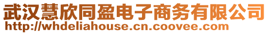 武漢慧欣同盈電子商務(wù)有限公司