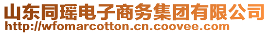 山東同瑤電子商務(wù)集團(tuán)有限公司