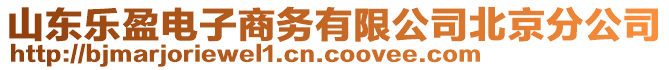 山東樂(lè)盈電子商務(wù)有限公司北京分公司