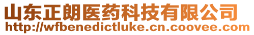 山東正朗醫(yī)藥科技有限公司