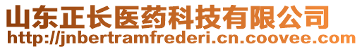 山東正長醫(yī)藥科技有限公司