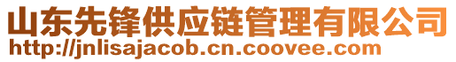 山東先鋒供應(yīng)鏈管理有限公司