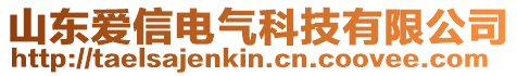 山東愛信電氣科技有限公司