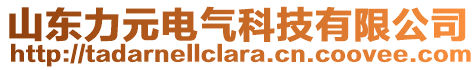 山東力元電氣科技有限公司