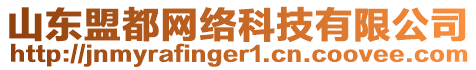 山東盟都網(wǎng)絡(luò)科技有限公司