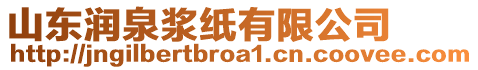 山東潤泉漿紙有限公司