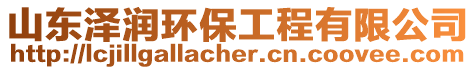 山東澤潤環(huán)保工程有限公司