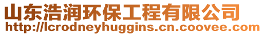 山東浩潤環(huán)保工程有限公司