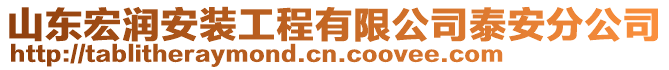 山東宏潤安裝工程有限公司泰安分公司