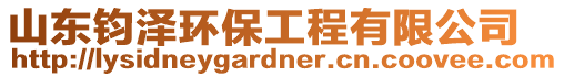 山東鈞澤環保工程有限公司