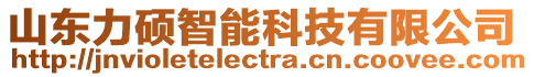 山東力碩智能科技有限公司