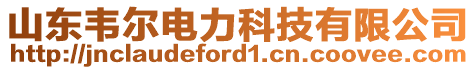 山東韋爾電力科技有限公司