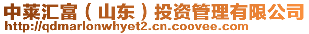 中萊匯富(山東)投資管理有限公司