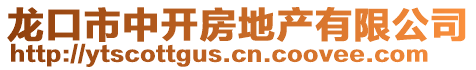 龍口市中開房地產(chǎn)有限公司