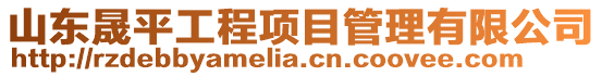 山東晟平工程項目管理有限公司