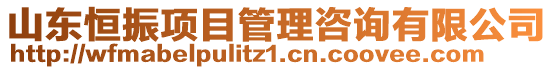 山東恒振項目管理咨詢有限公司