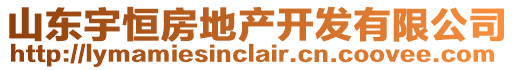 山東宇恒房地產(chǎn)開發(fā)有限公司