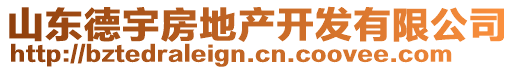 山東德宇房地產(chǎn)開發(fā)有限公司