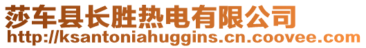 莎車縣長勝熱電有限公司