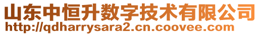 山東中恒升數(shù)字技術(shù)有限公司