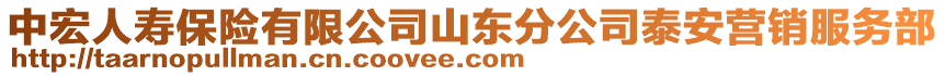 中宏人壽保險有限公司山東分公司泰安營銷服務(wù)部