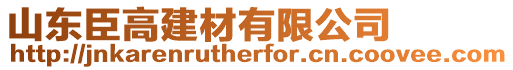 山東臣高建材有限公司