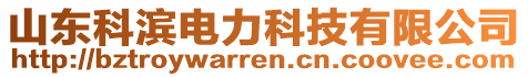 山東科濱電力科技有限公司