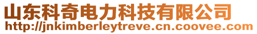 山東科奇電力科技有限公司