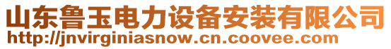 山東魯玉電力設(shè)備安裝有限公司