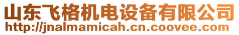 山東飛格機電設(shè)備有限公司
