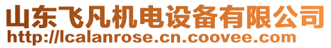 山東飛凡機(jī)電設(shè)備有限公司