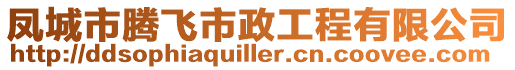 鳳城市騰飛市政工程有限公司