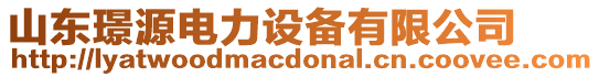 山東璟源電力設(shè)備有限公司