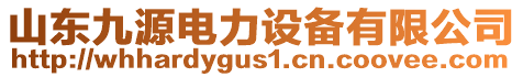 山東九源電力設(shè)備有限公司