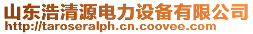 山東浩清源電力設備有限公司