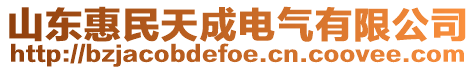 山東惠民天成電氣有限公司