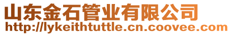 山東金石管業(yè)有限公司