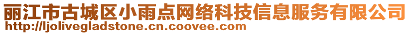 丽江市古城区小雨点网络科技信息服务有限公司